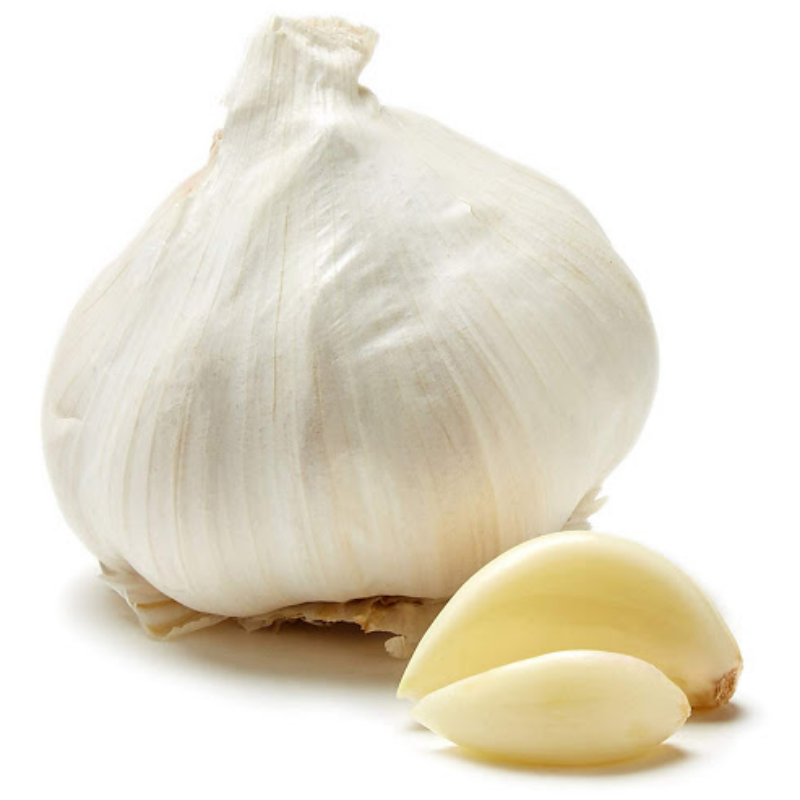 Garlic