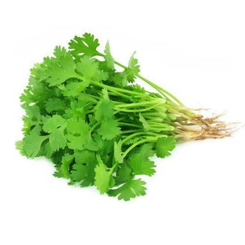 Coriander Leaves