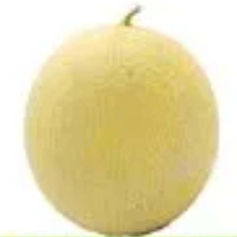 Muskmelon Sarda (खरबूजा)